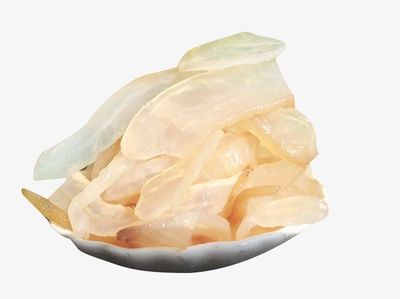 厚實(shí)的海蜇素材_新圖網(wǎng)