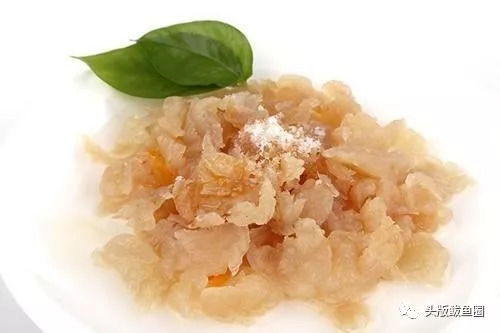 定了 2018中國(guó) 營(yíng)口海蜇節(jié)新聞發(fā)布會(huì)召開(kāi),萌萌噠吉祥物首次亮相