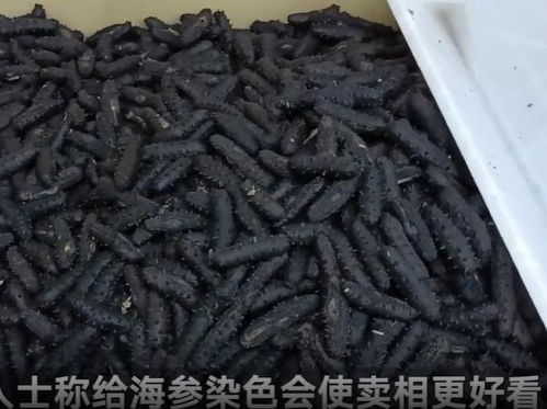 觸目驚心 大連海產(chǎn)品加工廠 2個食品黑科技曝光,注意識別