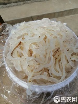 廣東海蜇頭,白花蜇頭,營養(yǎng)豐富,基地直發(fā),大量有貨
