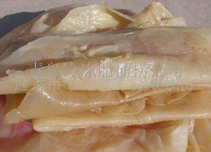 供應出口級海蜇 海蜇皮