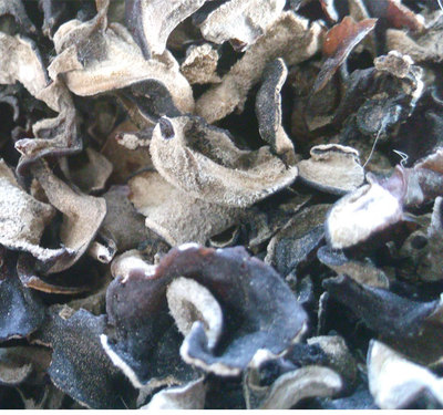 毛木耳的批發(fā)、供應(yīng)與市場前景——以鴻宇農(nóng)牧為例