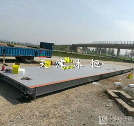 供應(yīng)食品廠專用3×18米100噸物聯(lián)網(wǎng)電子地磅高清展示與海蜇生產(chǎn)應(yīng)用