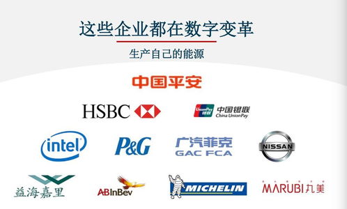 對標Adobe，Nequal如何以數據與技術雙引擎賦能企業智慧商業